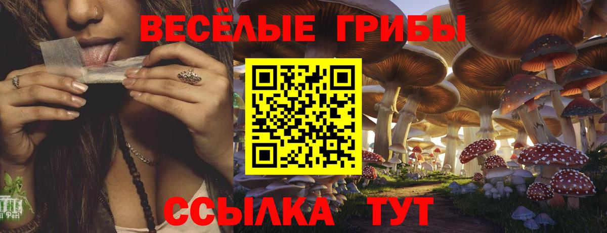 Галлюциногенные грибы ЛСД Пыть-Ях